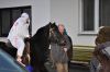 dsc_3584.jpg